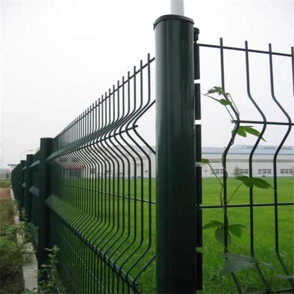 11 (167).jpg